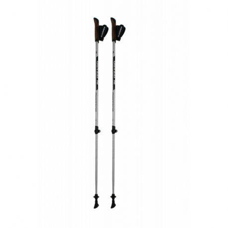 Palice nordic walking BLIZZARD-Alu Performance nordic walking poles, silver/black