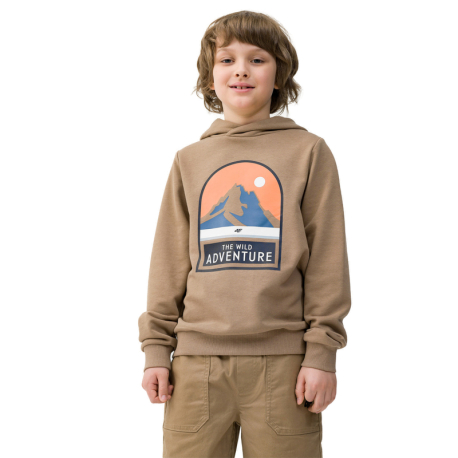 Chlapecká turistická mikina s kapucí 4F JUNIOR-SWEATSHIRT-4FJWSS24TSWSM0933-81S-BROWN